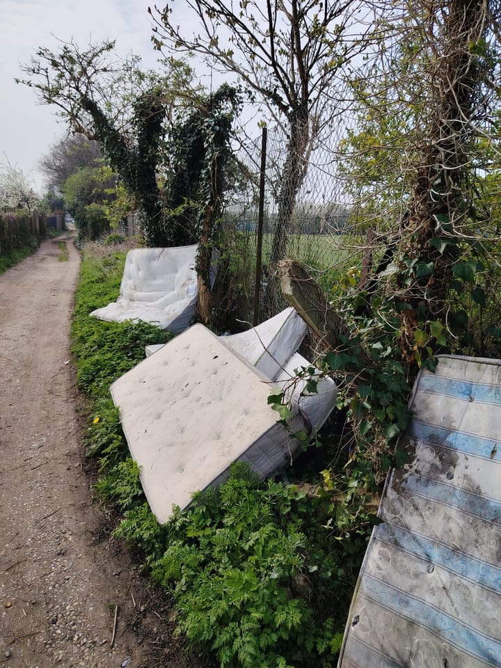 Plot holders raise safety fears over uncleared fly-tipping at Enfield allotments
